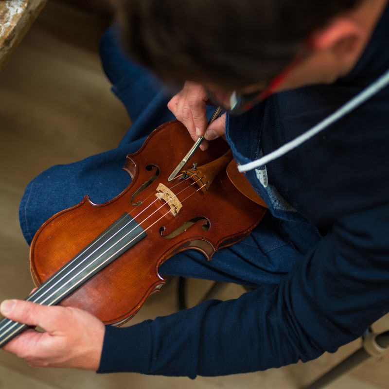 Comprehensive Solutions for String Instruments
